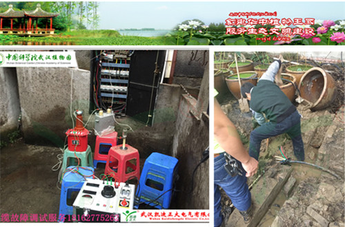 中國科學院武漢植物園誠邀我司為電纜故障檢測服務(wù)